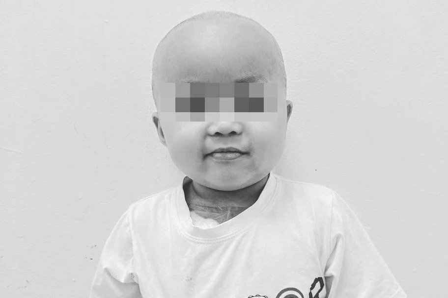 Thông tin chi tiết về sự ra đi của bé Bắp